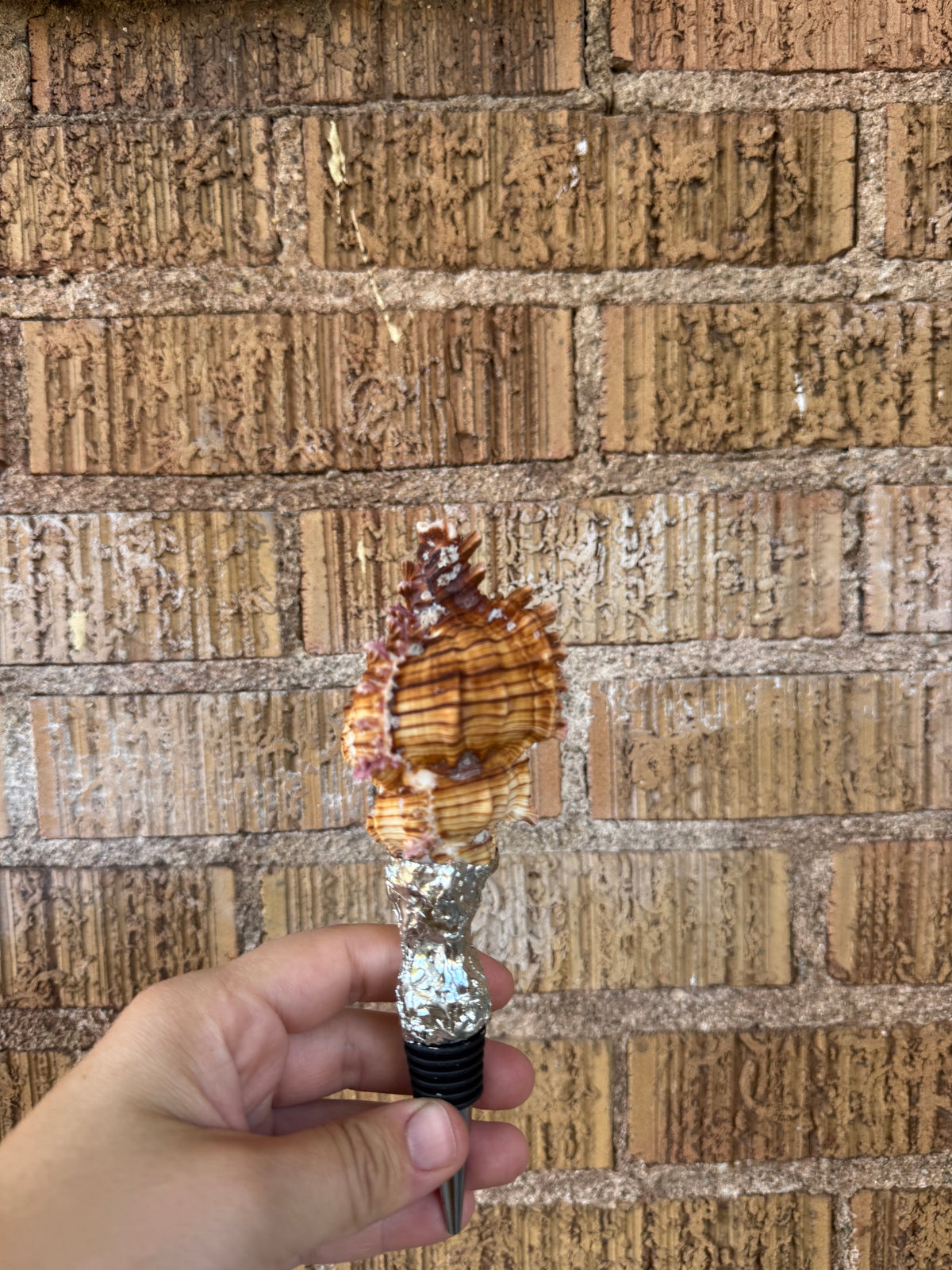 shell wine stoppers