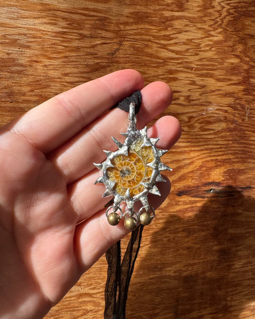 ammonite fossil with charms