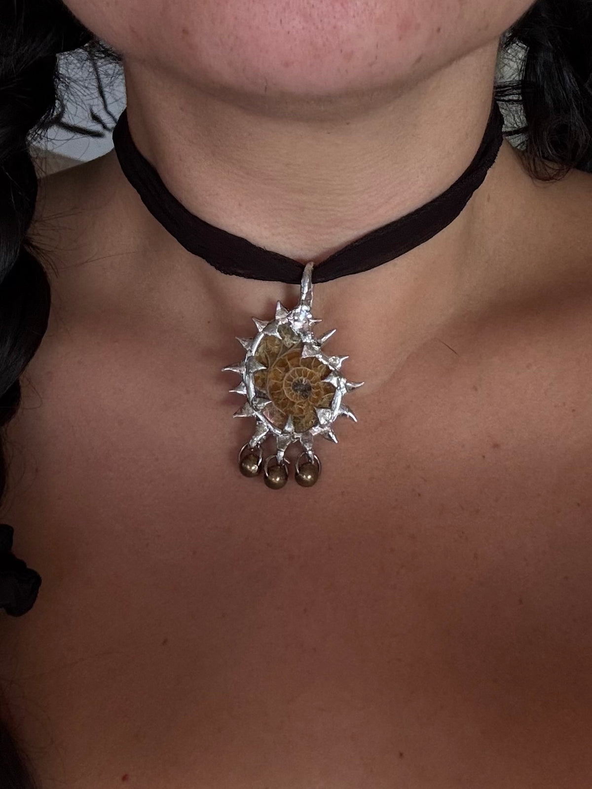 ammonite fossil with charms