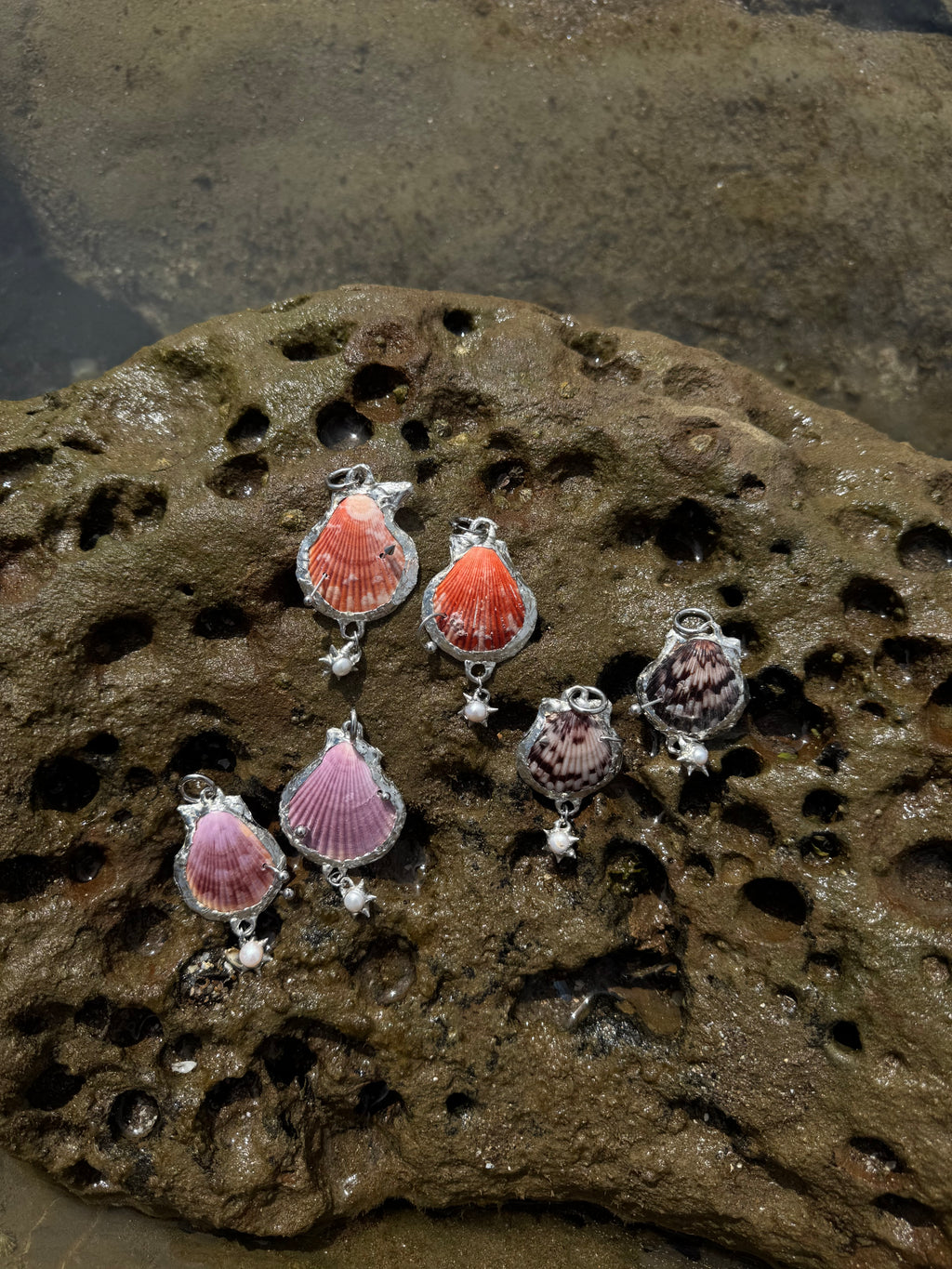 one of a kind shell earrings