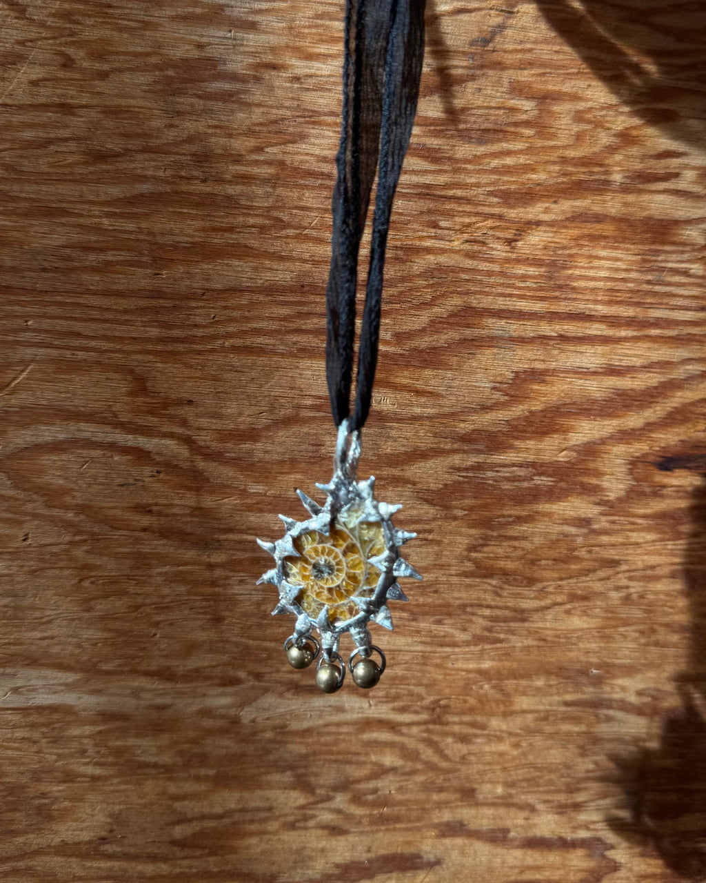 ammonite fossil with charms
