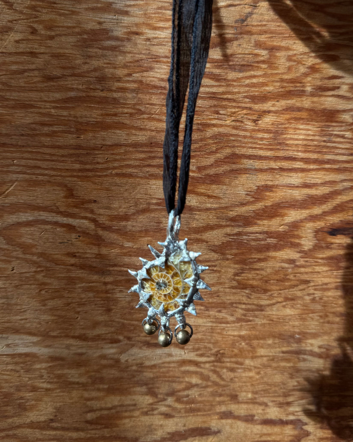 ammonite fossil with charms