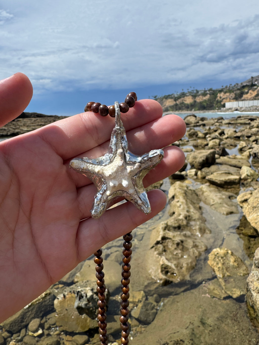 star fish