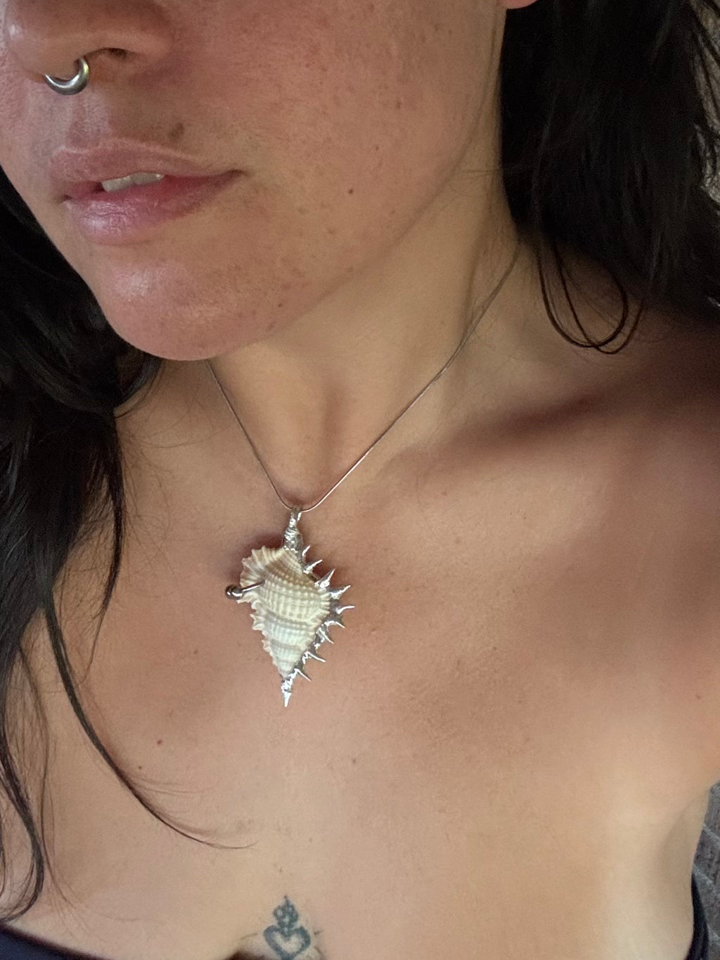 pierced shell 2