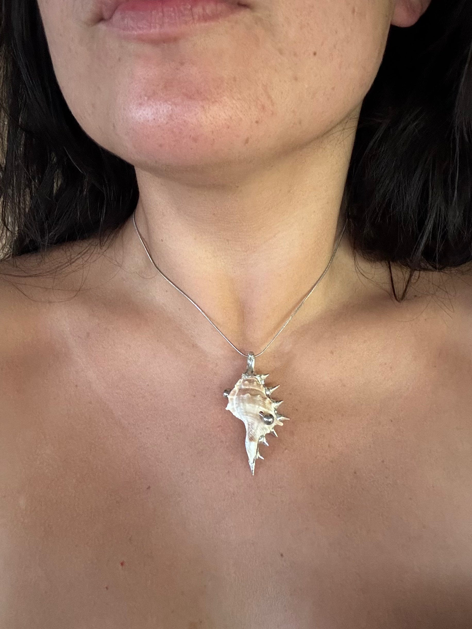 pierced shell 1
