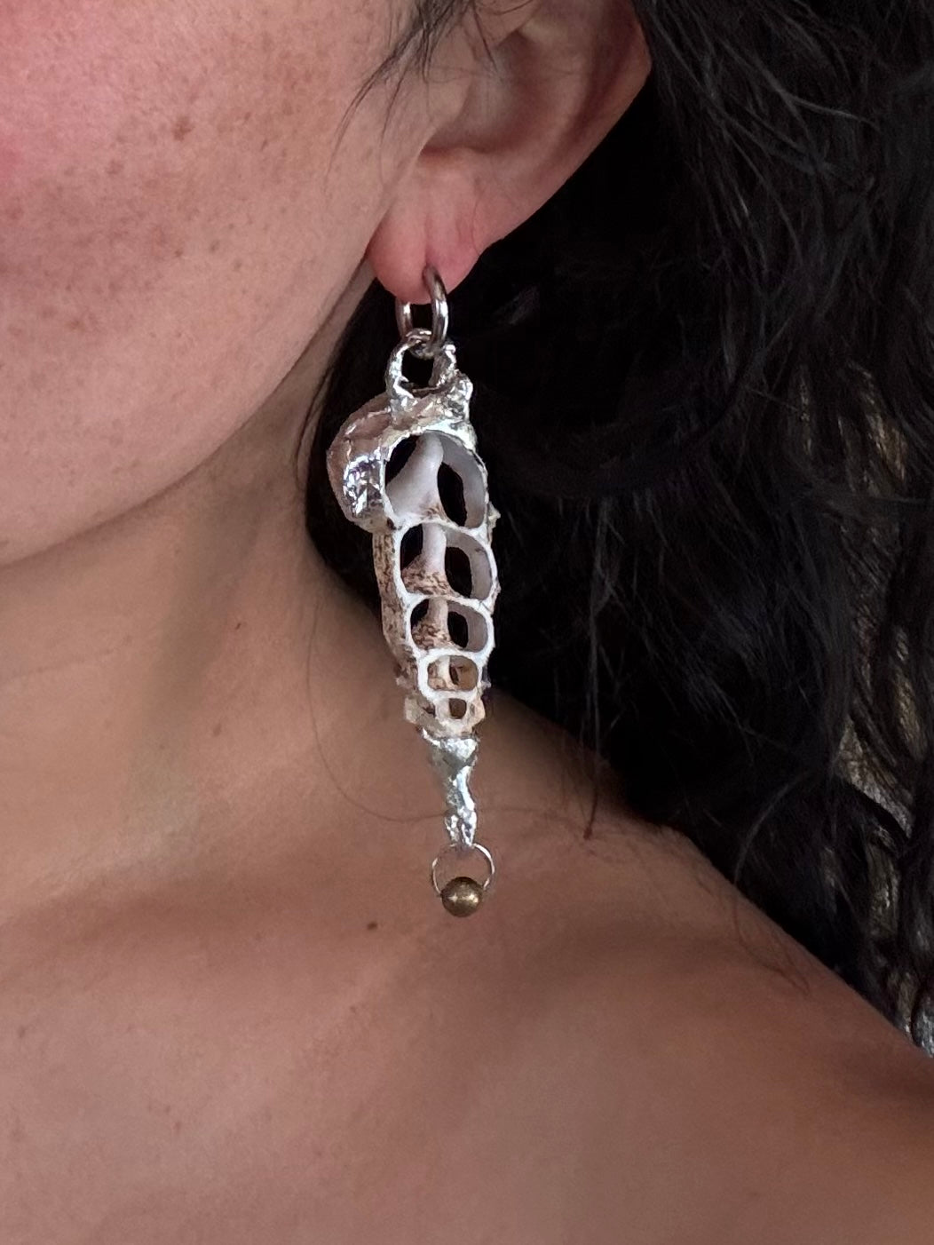 shell spine earring
