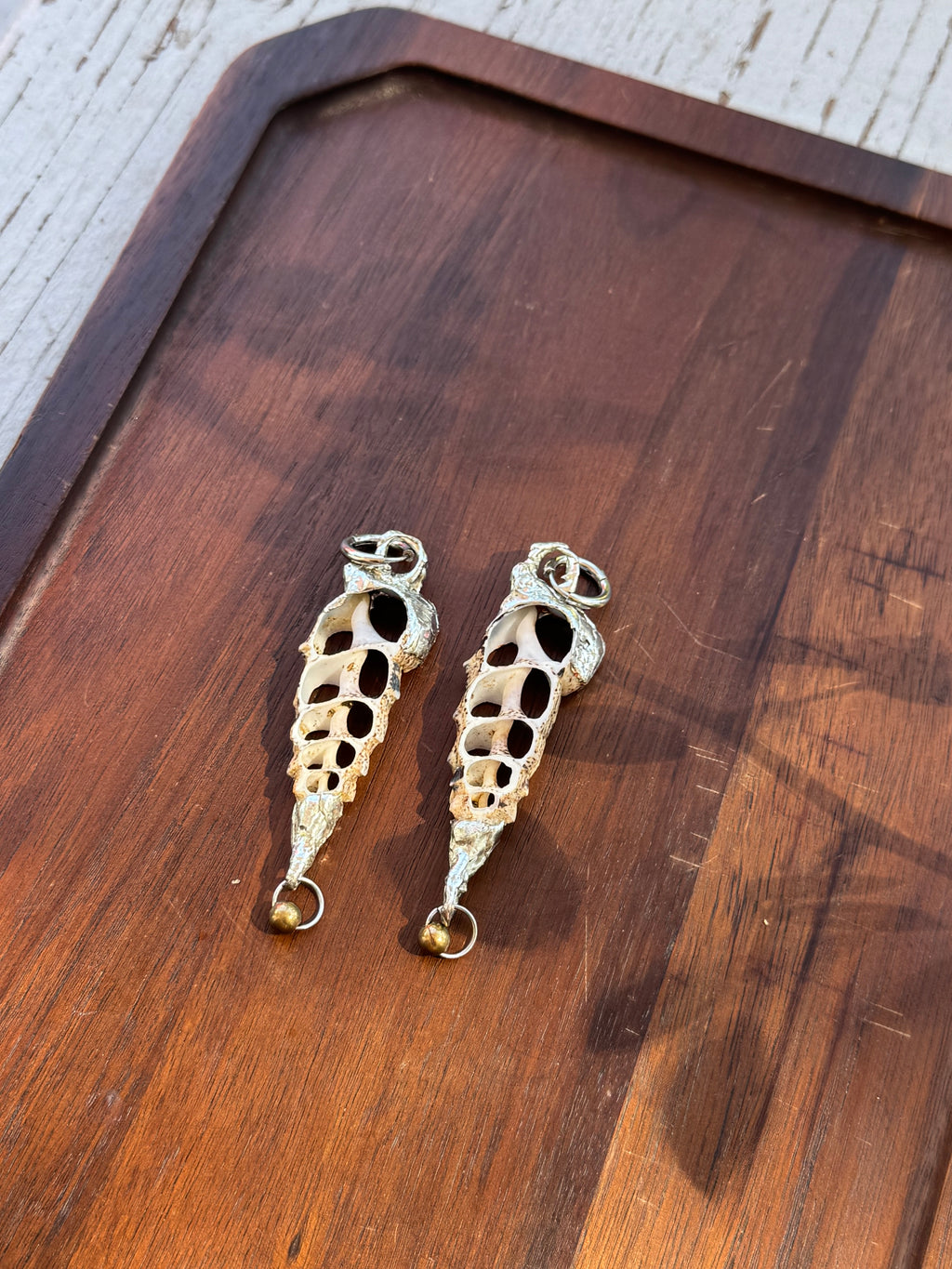 shell spine earring