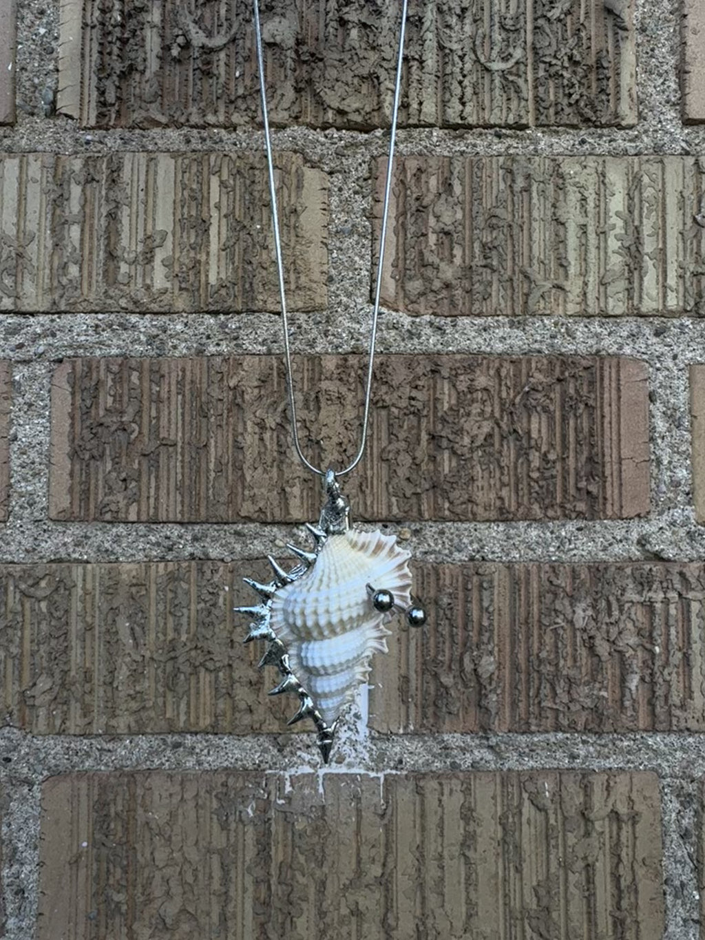 pierced shell 2