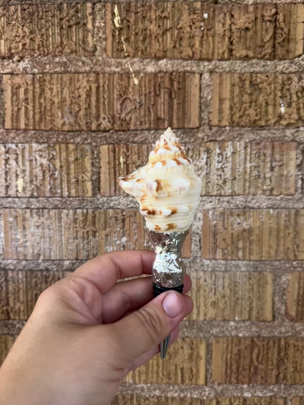 shell wine stoppers