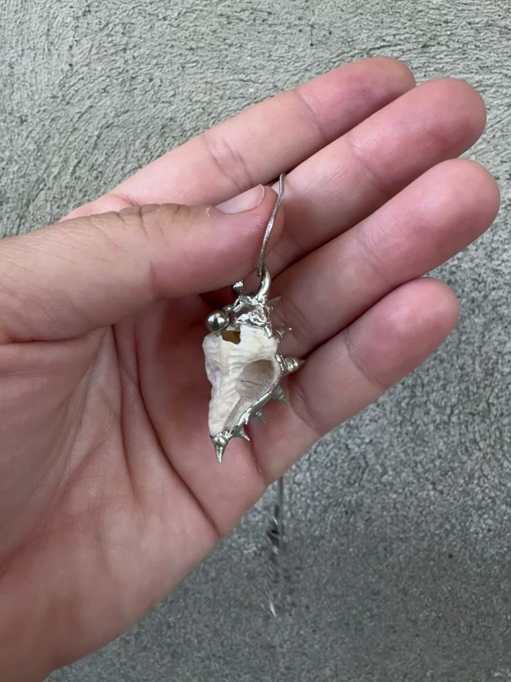 pierced spiky shell