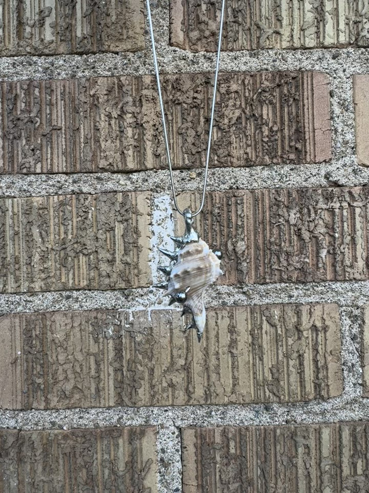 pierced shell 1