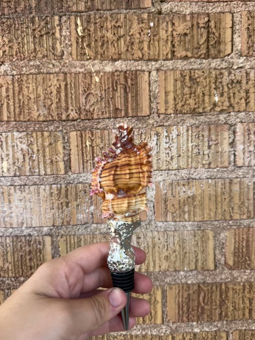 shell wine stoppers