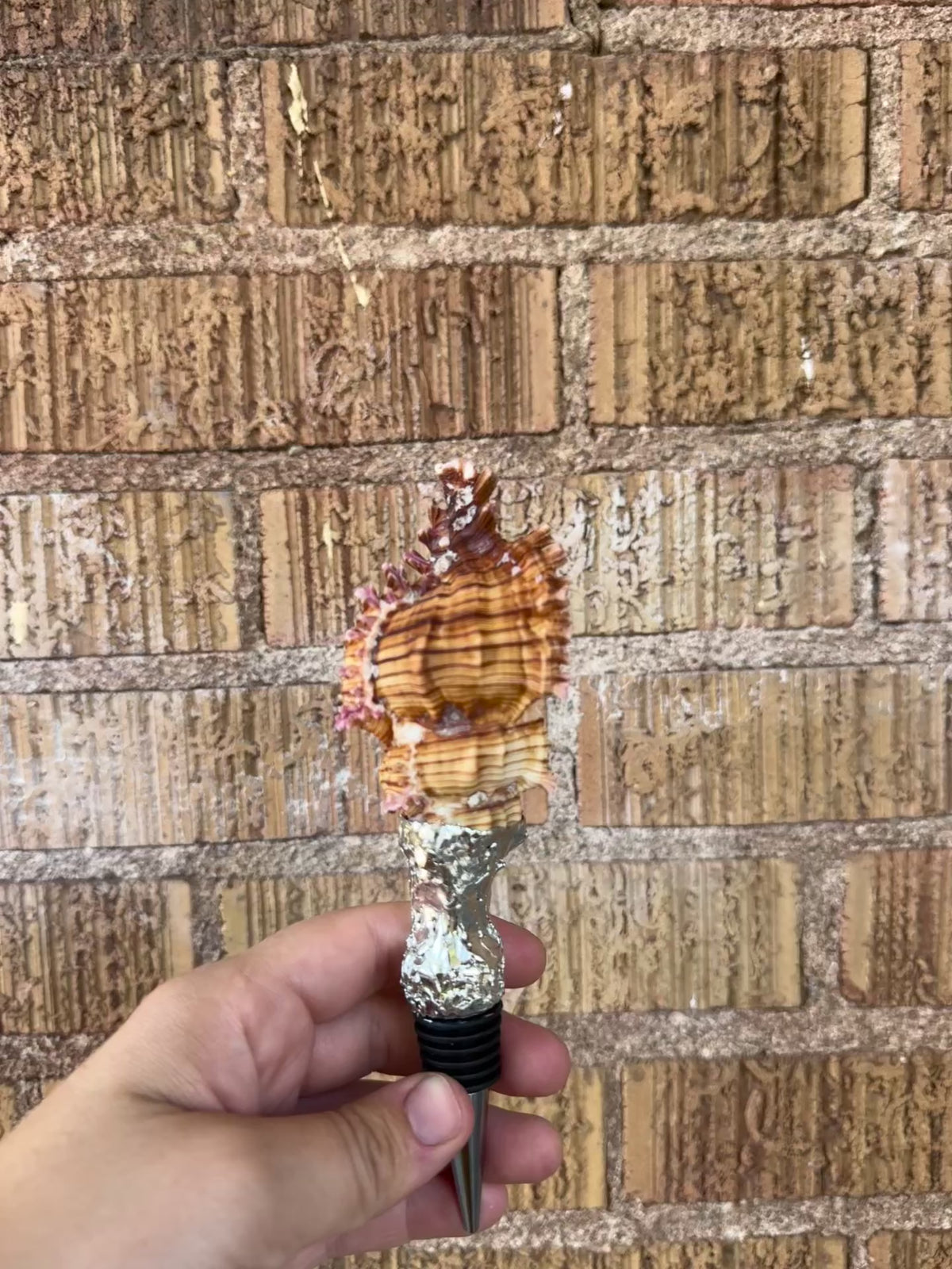 shell wine stoppers